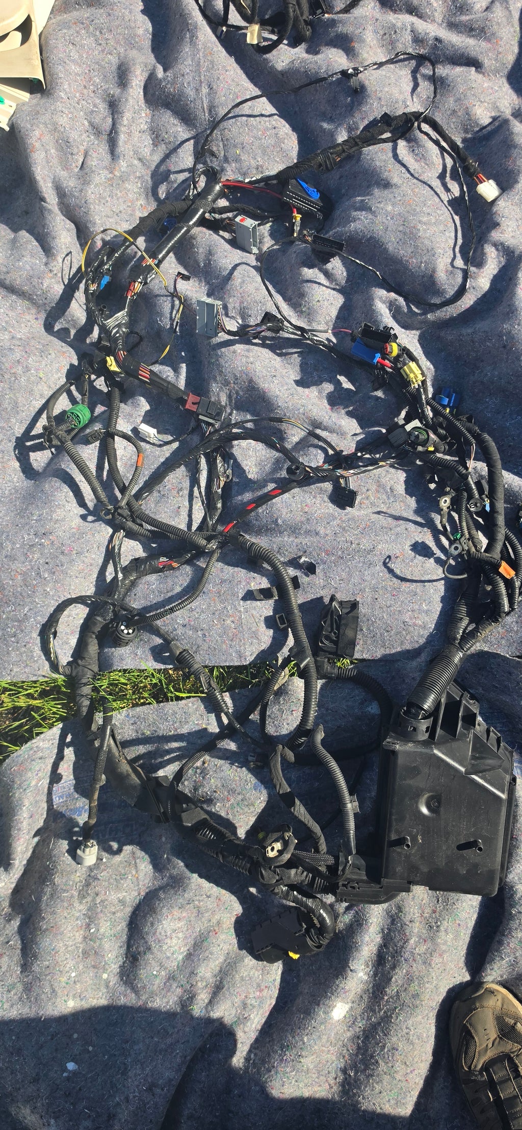 image-2